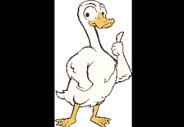 食品原料小百科：PQQ在動物領(lǐng)域的應(yīng)用？