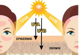 化妝品原料小百科:NAG與煙酰胺復配使用能改善色斑嗎?