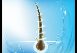 解決當代年輕人脫發煩惱的透明質酸鈉(下)