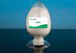 什么是透明質酸？