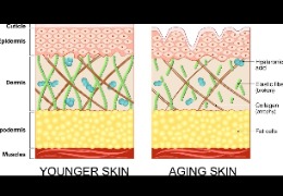 正確選擇精華素,讓你的肌膚更緊致、更年輕