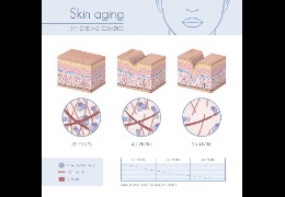 羥丙基三甲基氯化銨:透明質(zhì)酸鉀的功效及用途 乙酰化透明質(zhì)酸鈉