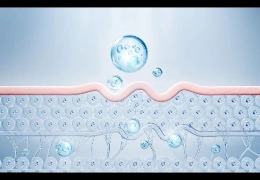 護(hù)膚品滲透和吸收是一回事嗎？