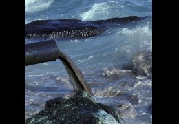 核輻射風(fēng)波，日妝還能用嗎？