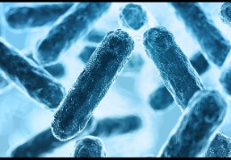 食品加工環(huán)境微生物監(jiān)控如何采樣（下）