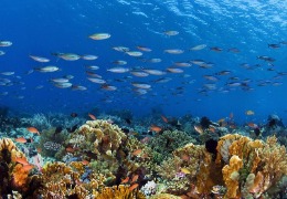 美妝品牌開始全面“排雷”