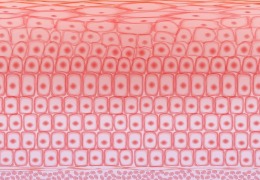 如何保護(hù)皮膚，才能使皮膚看起來(lái)健康？